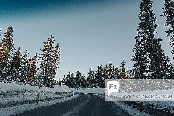 A road on a winter morning as seen through the windshield.