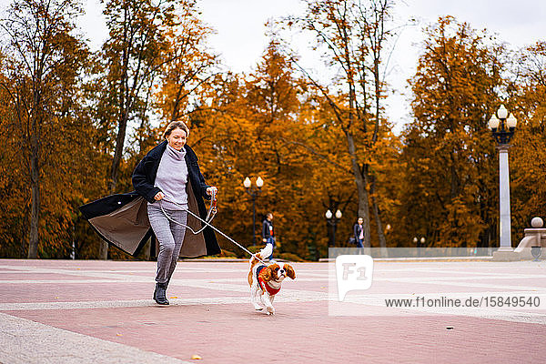 Frau rennt im Park mit einem Hund von Cavalier King Charles Spaniel