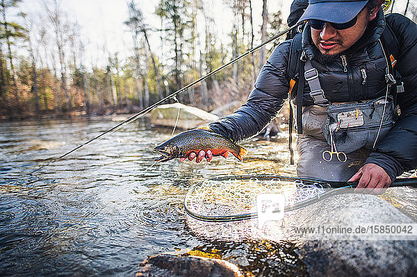 A man prepares to release a brook trout in Maine