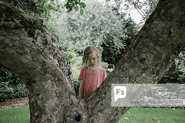 Ein junges  traurig aussehendes Mädchen stand im Sommer hinter einem Baum im Regen