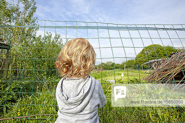 ein kleiner Junge  der sich auf einer grünen Wiese auf dem Land amüsiert  Caurel Bretagne  Frankreich.