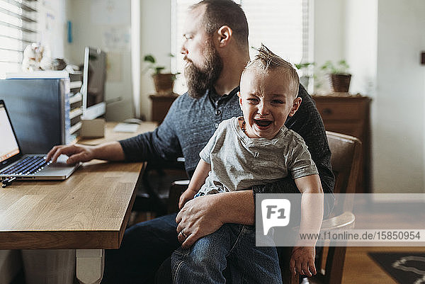Vater versucht  von zu Hause aus zu arbeiten  während ein Kleinkind auf seinem Schoß schreit