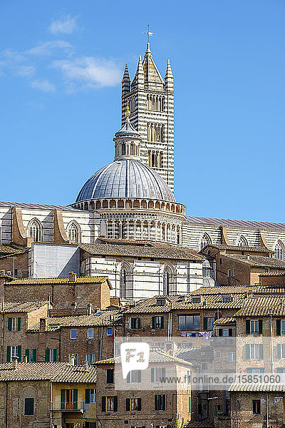 Duomo di Siena (Kathedrale von Siena) und Gebäude in der Altstadt  Siena  Toskana  Italien