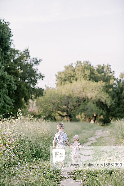 Big brother and baby sister holding hands and walking in nature