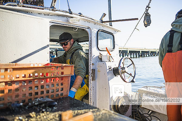 Aquakultur-Schalentiere für Muscheln in der Narragansett Bay in Rhode Island