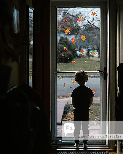 Ein kleiner Junge schaut aus einer gläsernen Sturmtür mit Herbstblattaufklebern auf i