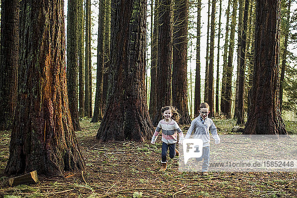 boy and girl running through trees in the park.