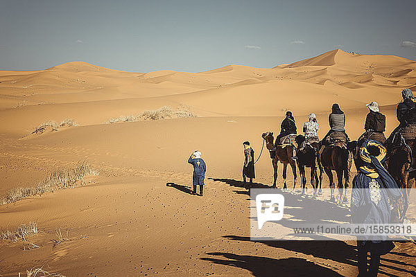 Menschen zu Dromedaren durch die Wüste