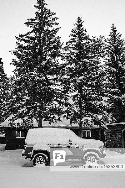 Old SUV in front of snow covered pine trees