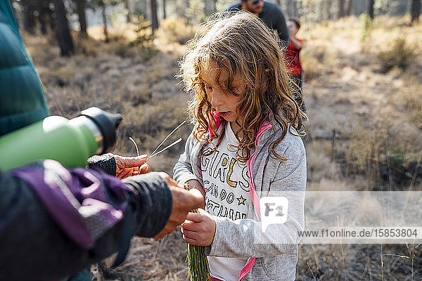 Girl in nature with family looking at pine needles in hand