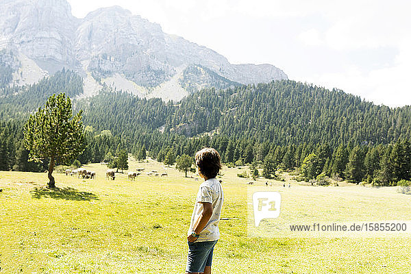 Boy standing in meadow looking at the mountains