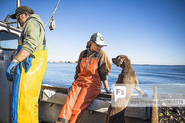 Frau und Hund arbeiten auf einem Muschelboot in der Narragansett Bay