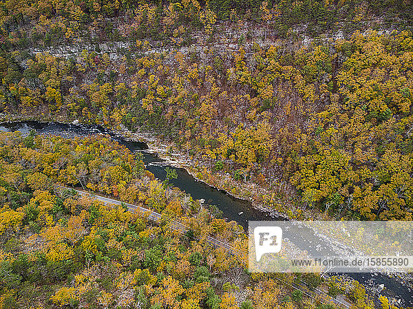 Drohnen-Luftaufnahme des Herbstlaubs in der Nähe des Appalachian Trail in VA.