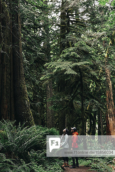A young couple enjoys a hike in a forest in the Pacific Northwest.