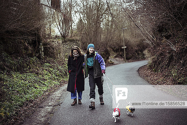 Gay female couple laugh and walk dogs up country road in czech winter