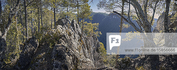 A goody landscape on the mountains