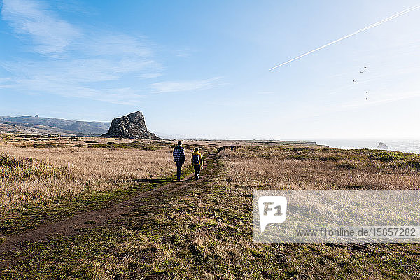 Hikers walking along headlands trail at Goat Rock State Beach  Ca