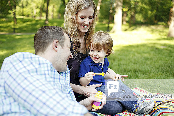 Family having picnic in the park