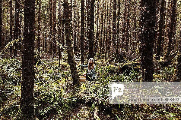 Schöne Frau sucht im Regenwald bei Tofino nach Futter