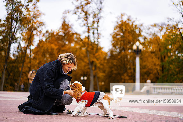 A female walks in the park with a Cavalier King Charles Spaniel.