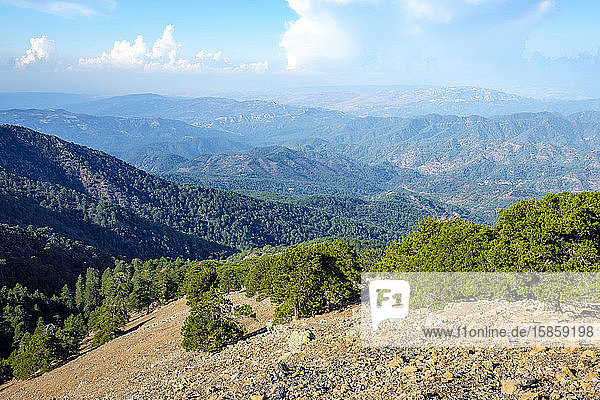 TroÃ¶dos-Gebirgslandschaft entlang des Artemis-Pfades  Berg Olymp  Zypern