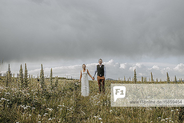 Neuvermählte Braut und Bräutigam halten sich auf einem Feld mit Wildblumen an den Händen  Wyoming