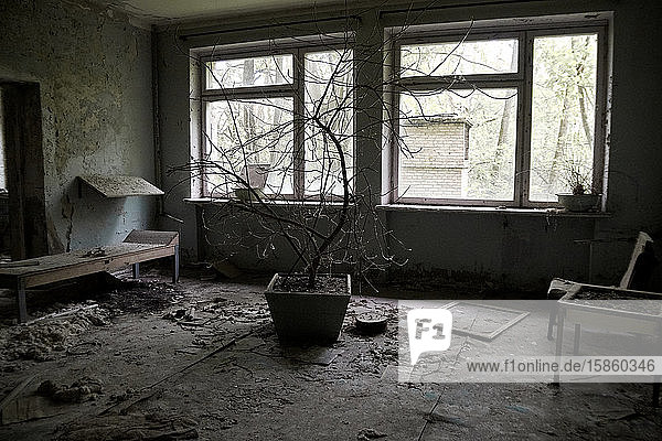 Entbindungsstation im Krankenhaus Nr. 126 in der Geisterstadt Pripjat  Tschernobyl  Ukraine