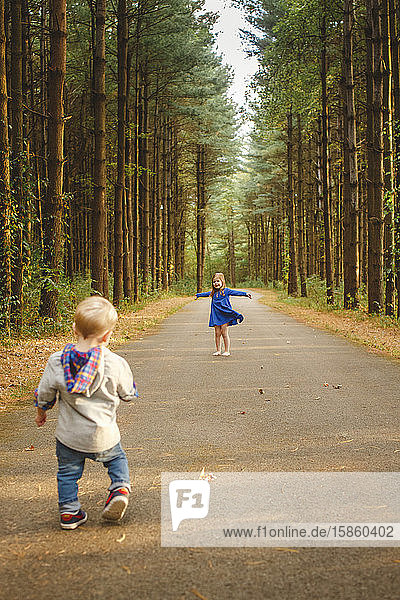 Zwei kleine Kinder spielen zusammen auf einem Pfad in einem Kiefernwald im Sonnenlicht