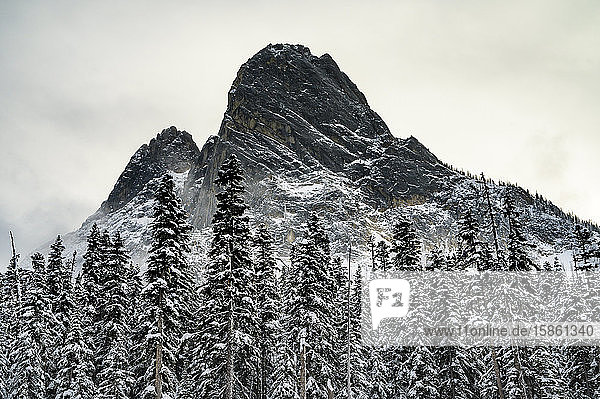 Dramatische Bergspitze über schneebedeckten Bäumen