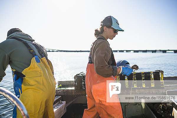 Ziehkessel für die Aquakultur-Muschelfischerei in der Narragansett Bay