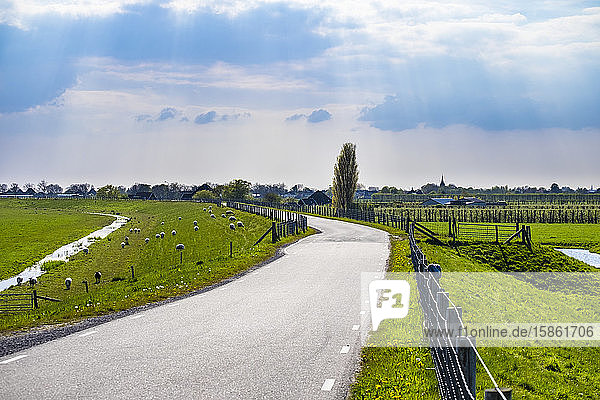 Kurvige Landstraße entlang des Zuiderdijk in Oosterleek  Niederlande