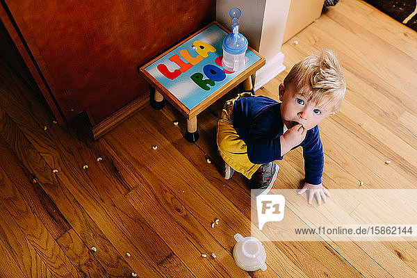 A toddler boy eats cereal off the floor.