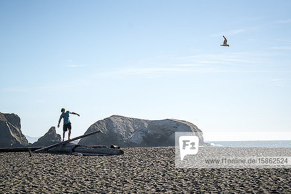 Teenager  der am Strand auf Treibholz balanciert