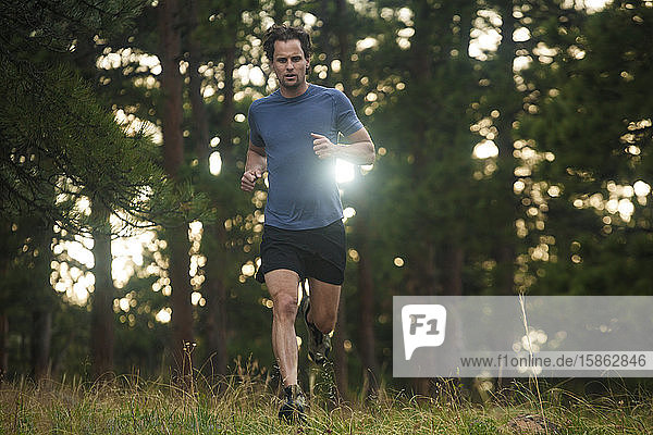 Mann rennt im Gegenlicht durch den Wald in Chautauqua oberhalb von Boulder  Colorado