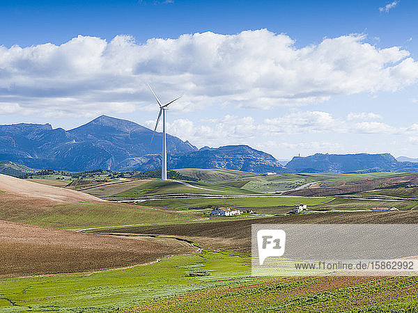 Windmühle in einer gebirgigen Landschaft  Malaga  Spanien