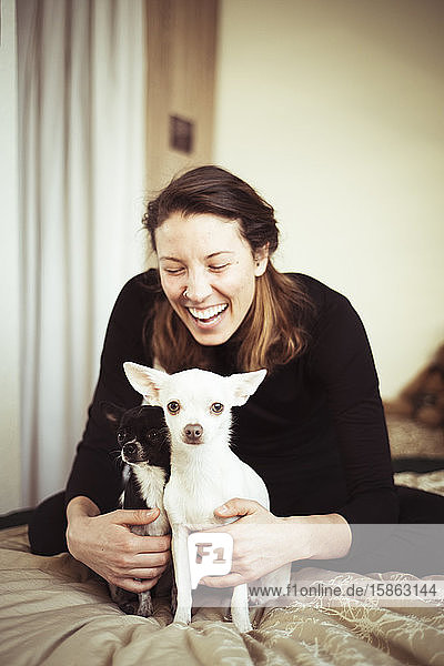 Junge Frau lacht zu Hause mit zwei Chihuahua-Hunden in warmem Licht