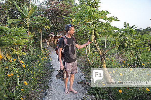 Ein Mann untersucht Papayas in einer üppigen vietnamesischen Umgebung.