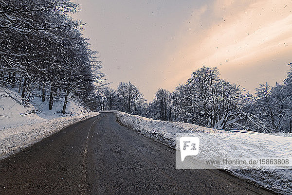 Winter road. Country road through forest. Travel concept.