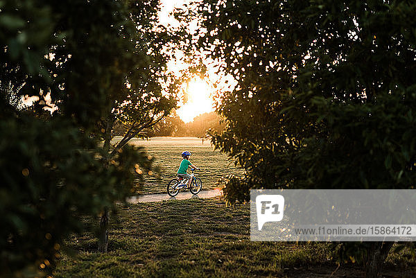 Vorschulkinder fahren bei Sonnenuntergang auf dem Fahrrad auf dem Bürgersteig