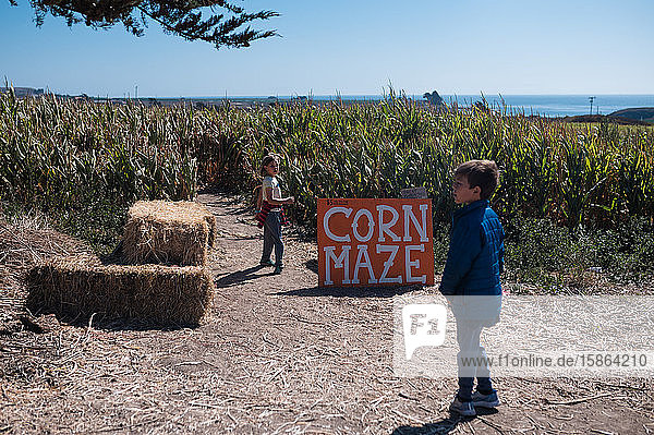 Two children about to enter a corn maze on a farm near the coast