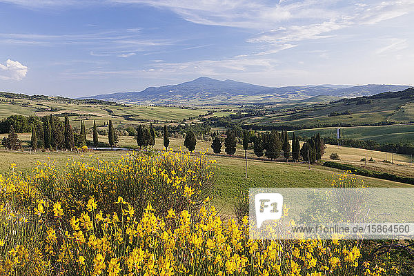 Toskanische Landschaft mit Monte Amiata  in der Nähe von Pienza  Val d'Orcia (Orcia-Tal)  UNESCO-Weltkulturerbe  Provinz Siena  Toskana  Italien  Europa