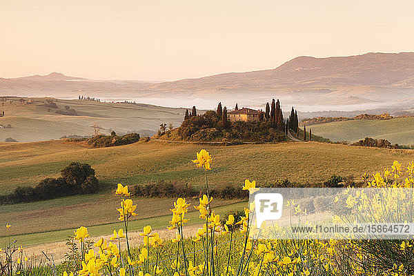 Farm house Belvedere at sunrise  near San Quirico  Val d'Orcia (Orcia Valley)  UNESCO World Heritage Site  Siena Province  Tuscany  Italy  Europe