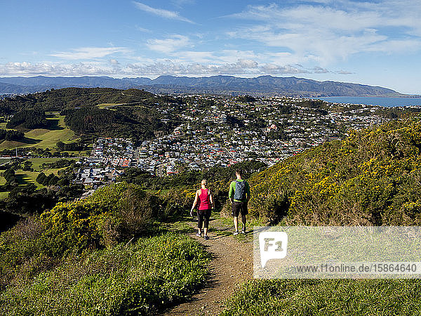 Suburbs and Rimutaka Ranges from Kingston with couple on walking track  Wellington  North Island  New Zealand  Pacific