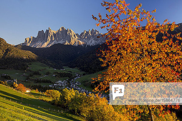 Bunte Herbstbäume umrahmen die Geislergruppe und das Dorf St. Magdalena  Pustertal  Südtirol  Dolomiten  Italien  Europa