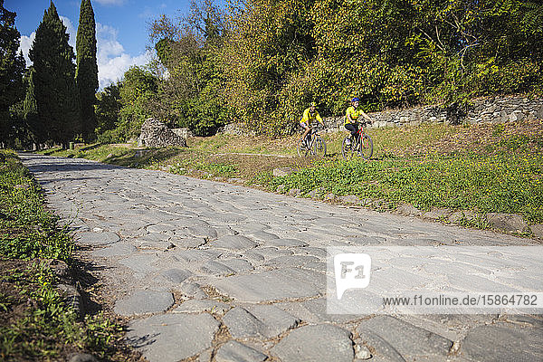 Ancient Appian Way  ancient Roman road  Rome  Lazio  Italy  Europe