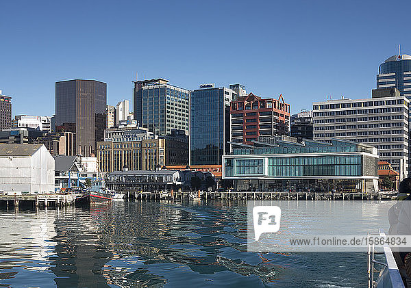 Waterfront and Queens Wharf from the harbour  Wellington  North Island  New Zealand  Pacific