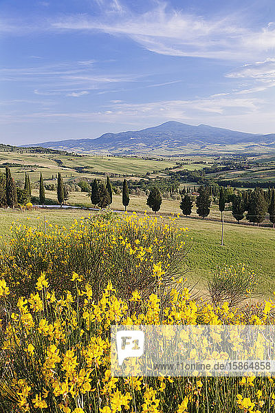 Toskanische Landschaft mit Monte Amiata  in der Nähe von Pienza  Val d'Orcia (Orcia-Tal)  UNESCO-Weltkulturerbe  Provinz Siena  Toskana  Italien  Europa