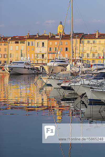 Hafen  St. Tropez  Var  Provence  Côte d'Azur  Französische Riviera  Frankreich  Mittelmeer  Europa