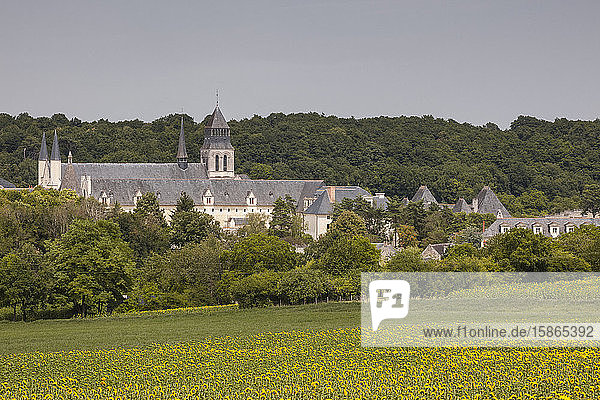 Looking towards the abbey of Fontevraud  Loire Valley  France  Europe