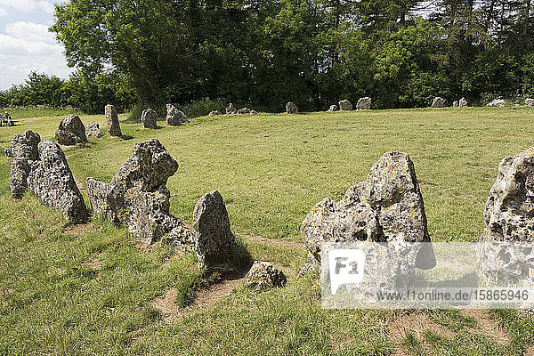 Der Steinkreis der Kings Men  The Rollright Stones  an der Grenze zwischen Oxfordshire und Warwickshire  England  Vereinigtes Königreich  Europa